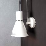 LCV-A-1054-transformed